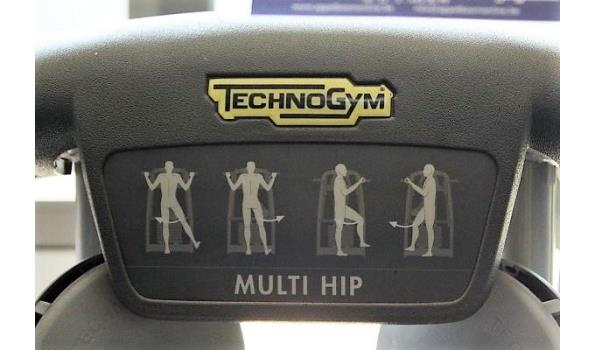 fitnesstoestel TECHNOGYM, Multi Hip